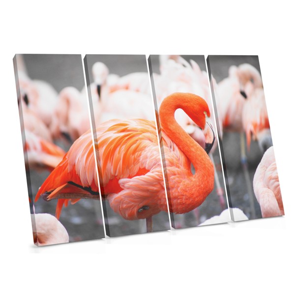 Pink Flamingo in Water Canvas Print