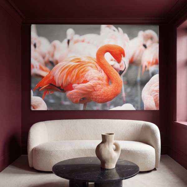 Rosa flamingo i vatten canvastryck - på väggen i ett rum