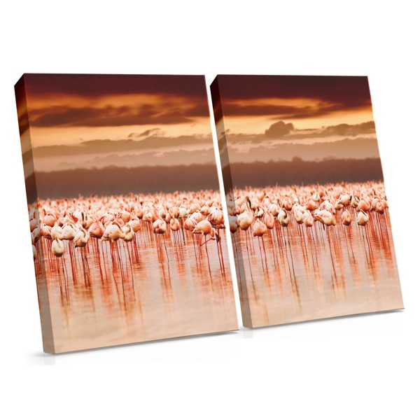 Flamingos in Flight Over Water Canvas Print