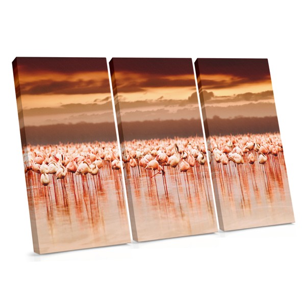 Flamingos in Flight Over Water Canvas Print