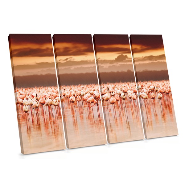 Flamingos in Flight Over Water Canvas Print