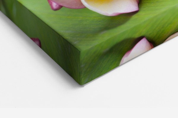 Bouquet de Fleurs Jaunes sur Toile Bleu Clair - au mur dans un intérieur