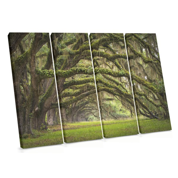 Talking Trees in Peace and Prosperity Canvas Print