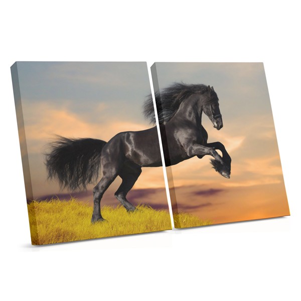 Black Mustang in Meadow Canvas Print