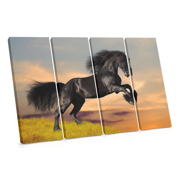 Black Mustang in Meadow Canvas Print