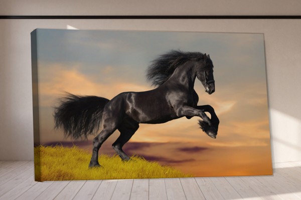Zwart Mustang in Weide Canvas Print - aan de muur in een interieur