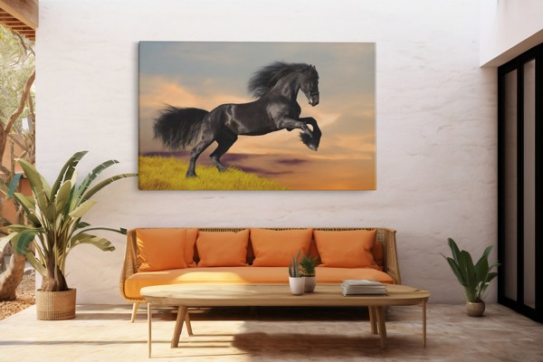 Zwart Mustang in Weide Canvas Print - aan de muur in een interieur