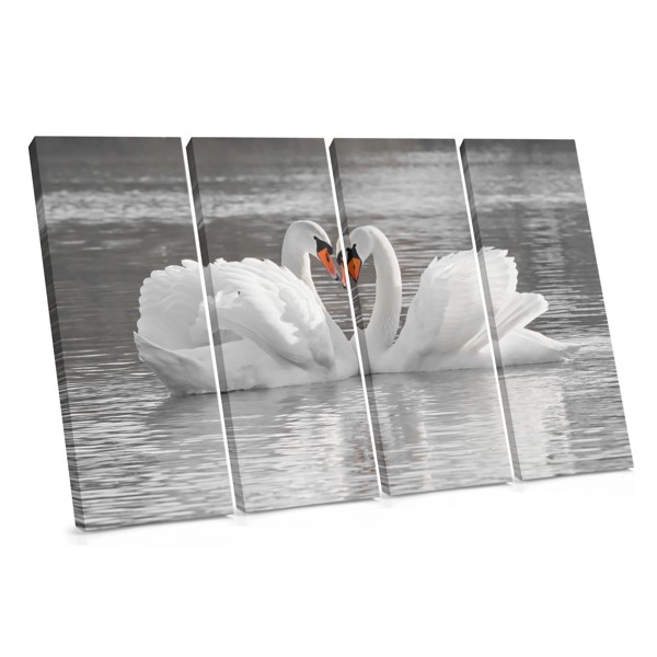 Gray Swan Heart Reflection Canvas Print