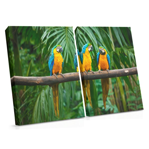 Three Parrots in Tropical Foliage Canvas Print