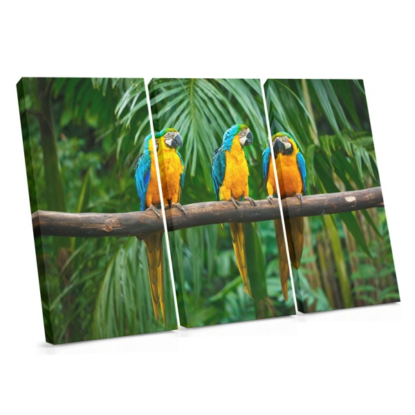 Three Parrots in Tropical Foliage Canvas Print