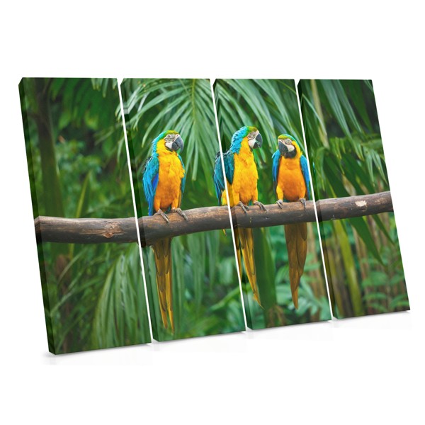 Three Parrots in Tropical Foliage Canvas Print