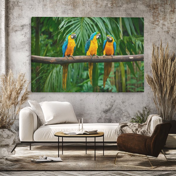 Three Parrots in Tropical Foliage Canvas Print - on the wall in a room interior