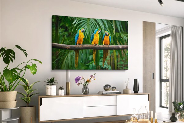 Three Parrots in Tropical Foliage Canvas Print - on the wall in a room interior