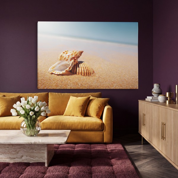 Gerippte Rapa-Meeresschnecke auf Sand Leinwanddruck - an der Wand in einem Raum