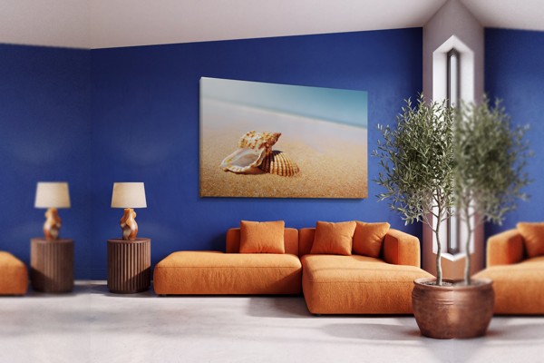 Gerippte Rapa-Meeresschnecke auf Sand Leinwanddruck - an der Wand in einem Raum