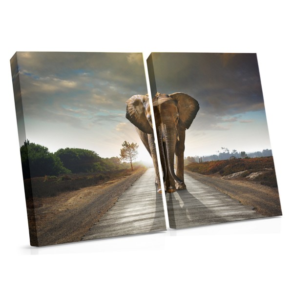 Elephant Mind Road Canvas Print