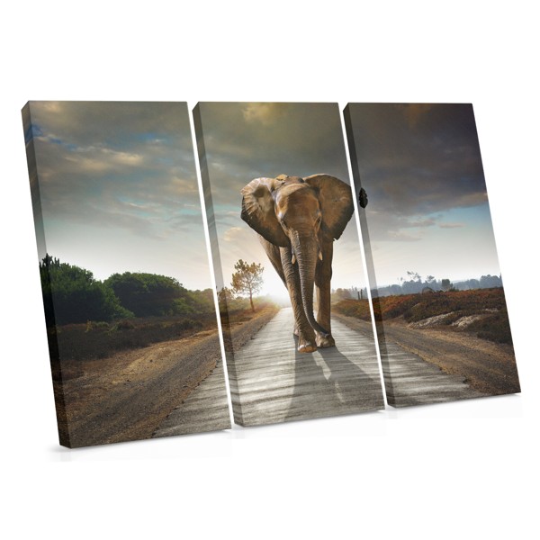 Elephant Mind Road Canvas Print