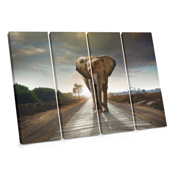 Elephant Mind Road Canvas Print