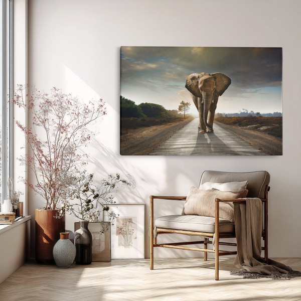 Olifant Mind Road Canvas Print - aan de muur in een interieur