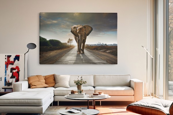 Olifant Mind Road Canvas Print - aan de muur in een interieur
