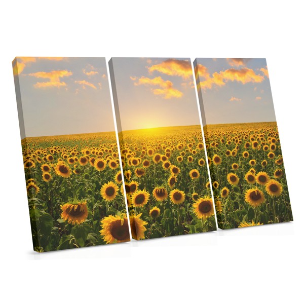Slunečnicové pole na plátně