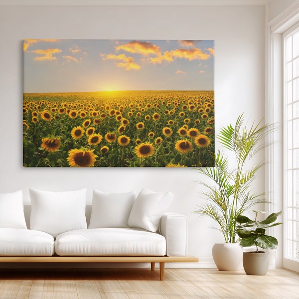 Impression sur Toile Champ de Tournesols - au mur dans un intérieur