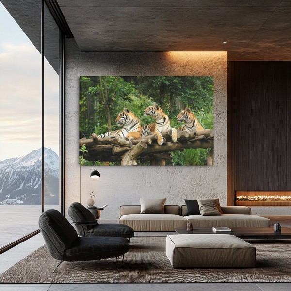 Three Tigers Resting Under Tree Canvas Print - on the wall in a room interior