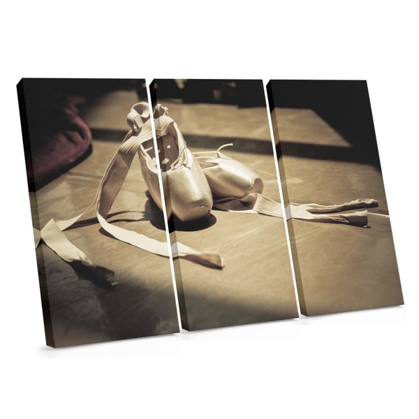 Ballet Pointe Shoes and Leg Wraps Canvas Print