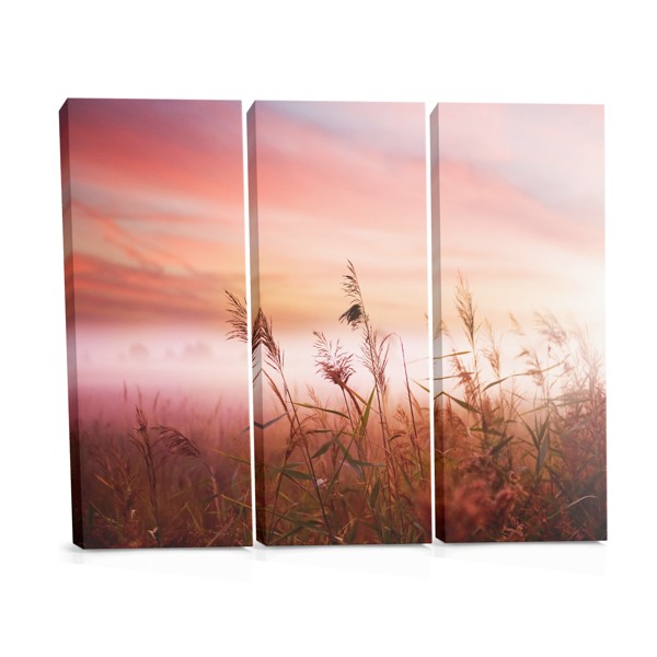 Wheat Field at Sunset Canvas Print