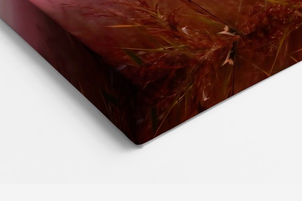Tarweveld bij zonsondergang canvas print - aan de muur in een interieur