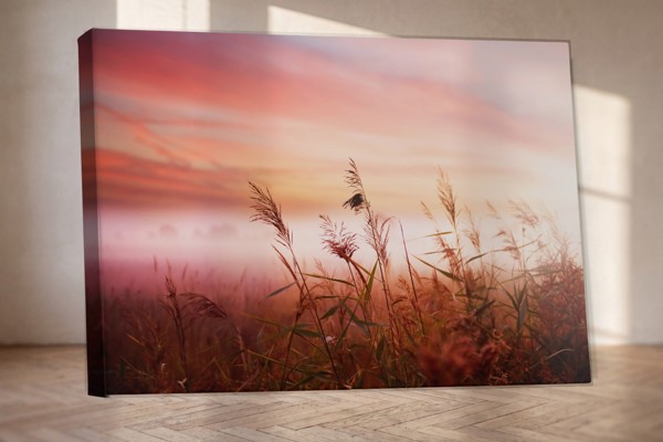 Tarweveld bij zonsondergang canvas print - aan de muur in een interieur