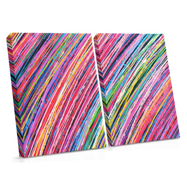 Colorful Abstract Lines Canvas Print