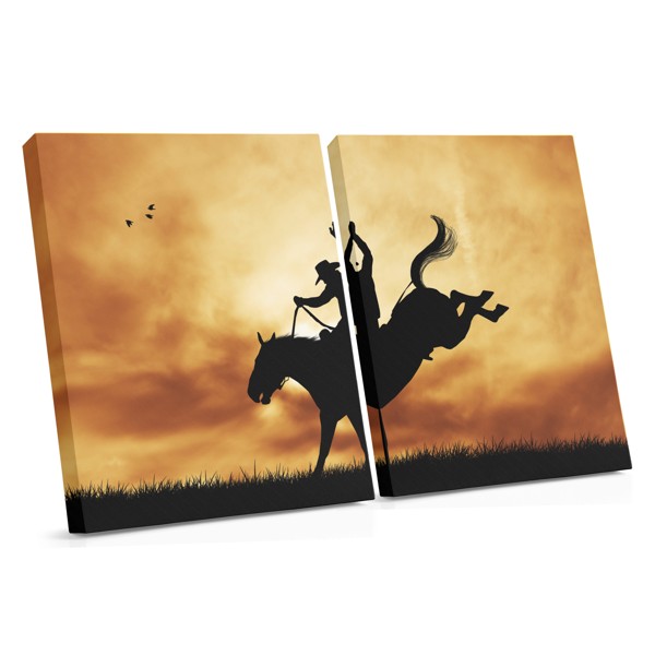 Horse in Shadow Canvas Print