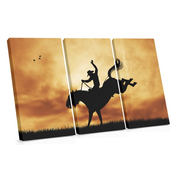 Horse in Shadow Canvas Print