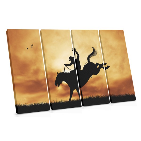 Horse in Shadow Canvas Print