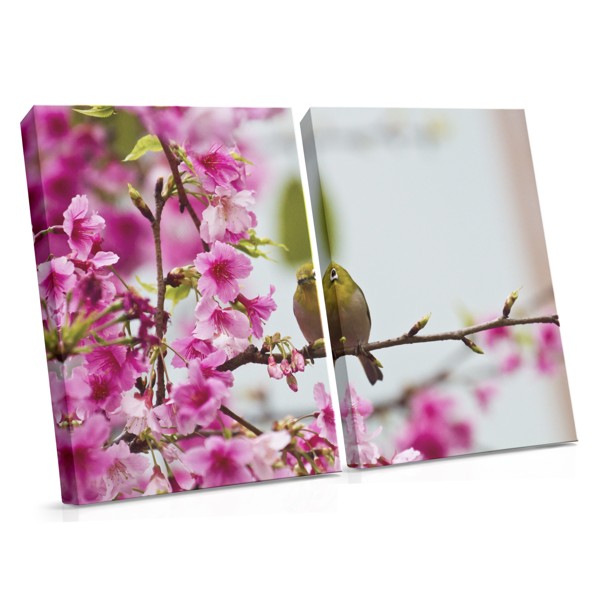 Blossoming Tree in Spring Meadow Canvas Print