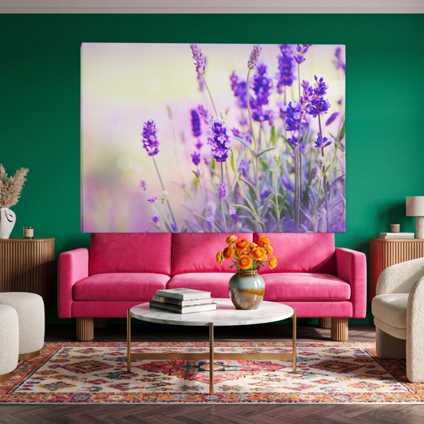 Toile Imprimée Champ de Lavande en Fleur - au mur dans un intérieur