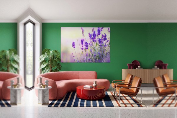 Toile Imprimée Champ de Lavande en Fleur - au mur dans un intérieur