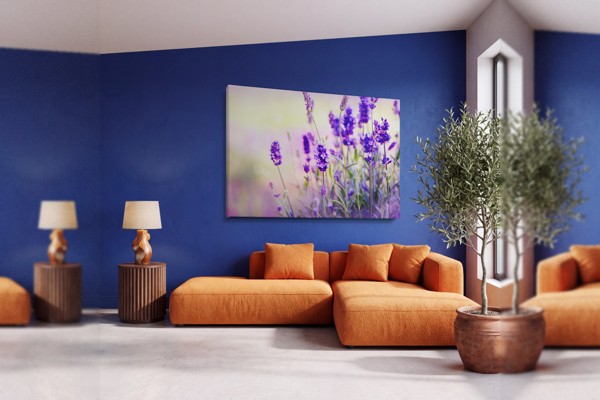Toile Imprimée Champ de Lavande en Fleur - au mur dans un intérieur