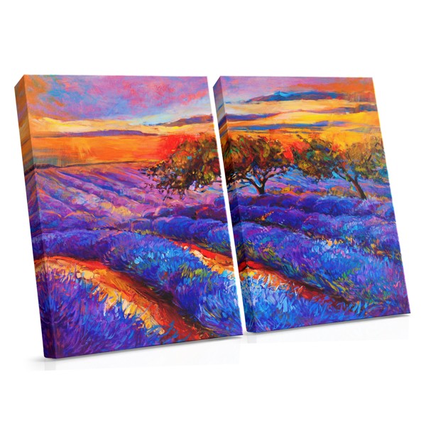 Lavender Field in Bloom Canvas Print