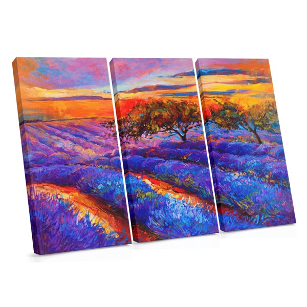 Lavender Field in Bloom Canvas Print