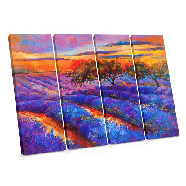 Lavender Field in Bloom Canvas Print