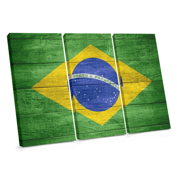 Brazilian Flag Emblem Canvas Print