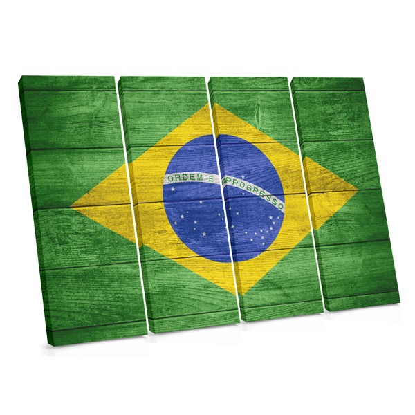 Brazilian Flag Emblem Canvas Print