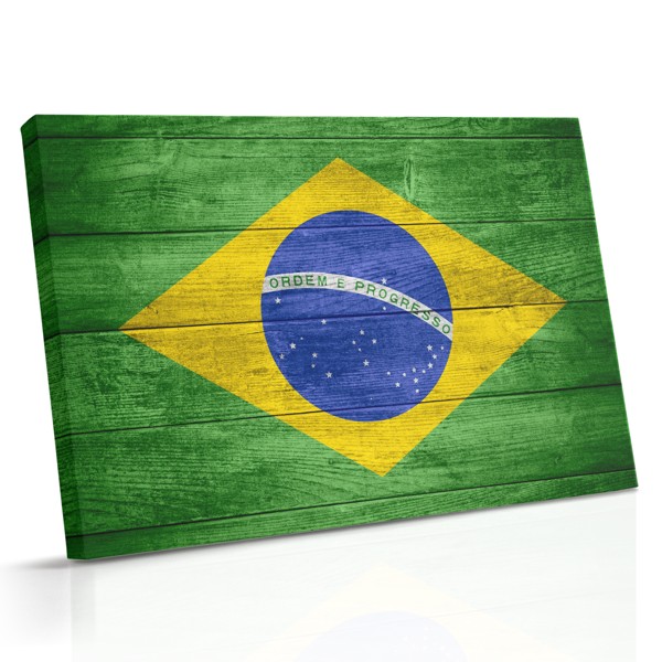 Este lienzo muestra el emblema nacional brasileño con su campo verde