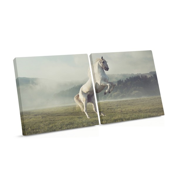 White Horse Portrait Canvas Print
