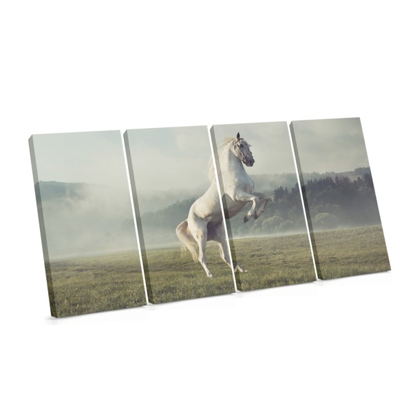 White Horse Portrait Canvas Print