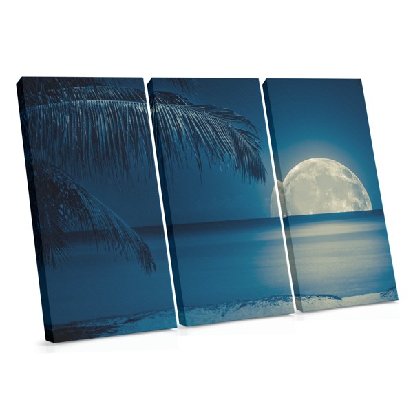 Caribbean Nights Ocean Canvas Print