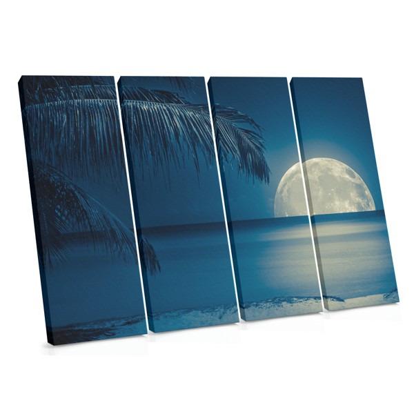 Caribbean Nights Ocean Canvas Print