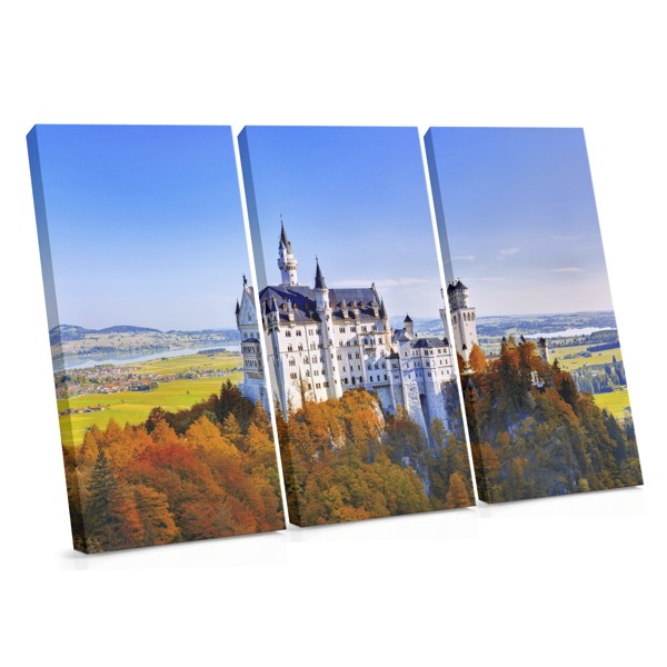 Neuschwanstein Castle on the Hill Canvas Print